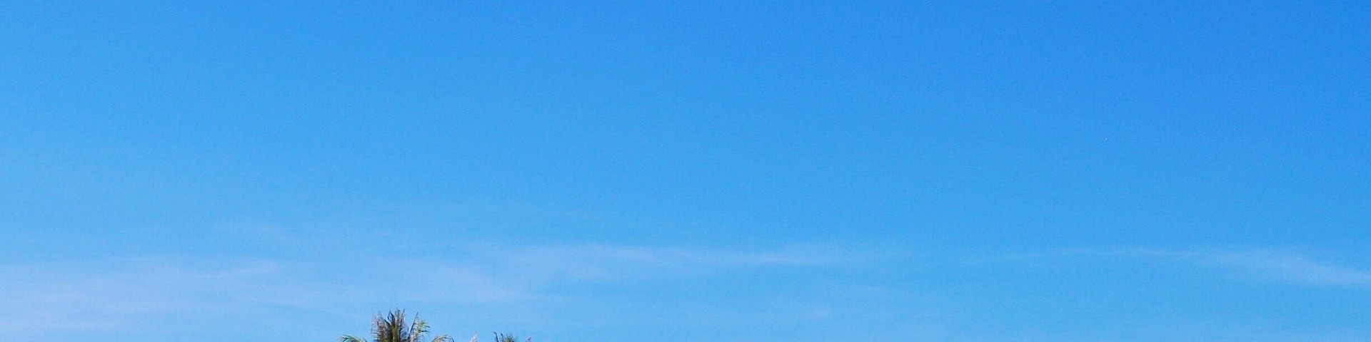 Uma praia com águas azul-claras, areal arenoso e palmeiras.