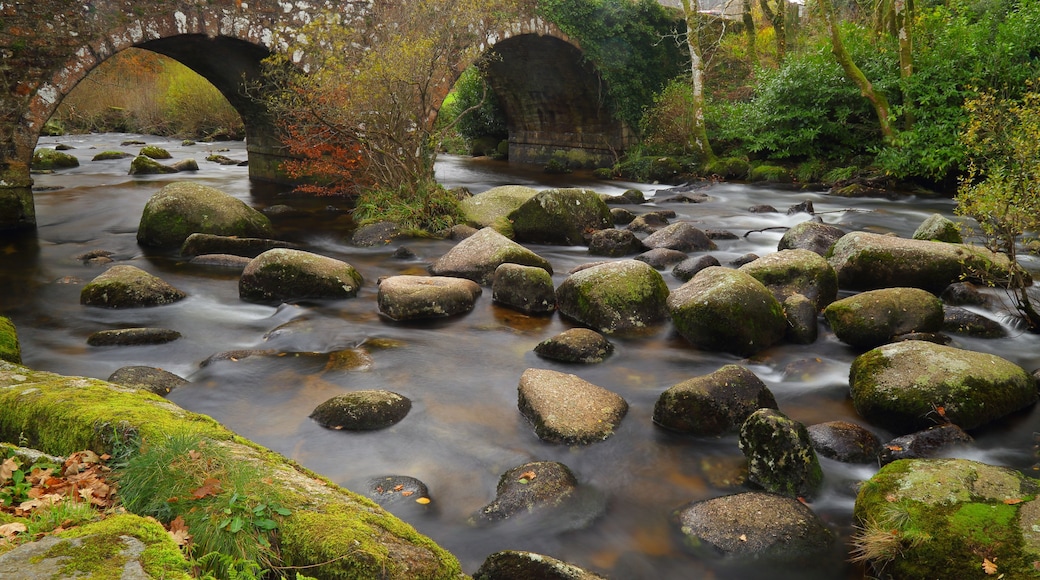 A river with a stone bridge, moss-covered rocks, and lush greenery.