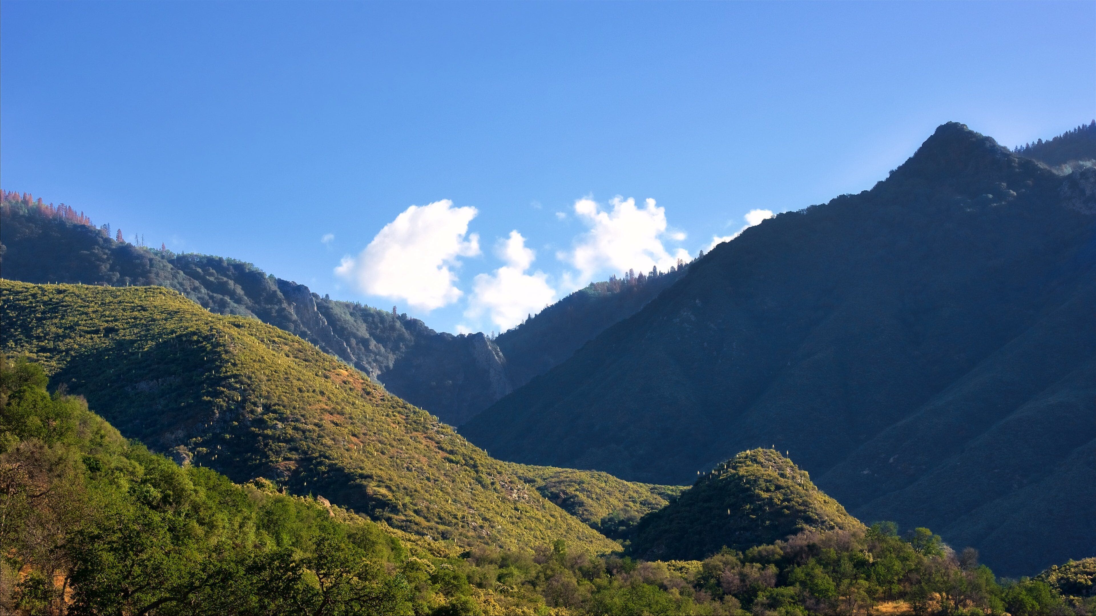 A mountainous landscape with lush greenery and a clear blue sky.
