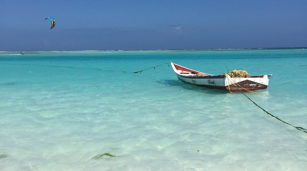 White sands. Turquoise water. I’ve never felt so close to paradise. This is 30 minutes away from my hometown, Caracas, and it wasn’t until recently that I visited this gorgeous place for the first time. Tip: talk to the locals and become friends with a fisherman. They have the best insights and you might get free fresh fish! #lifeatexpedia #bvsblue #beaches