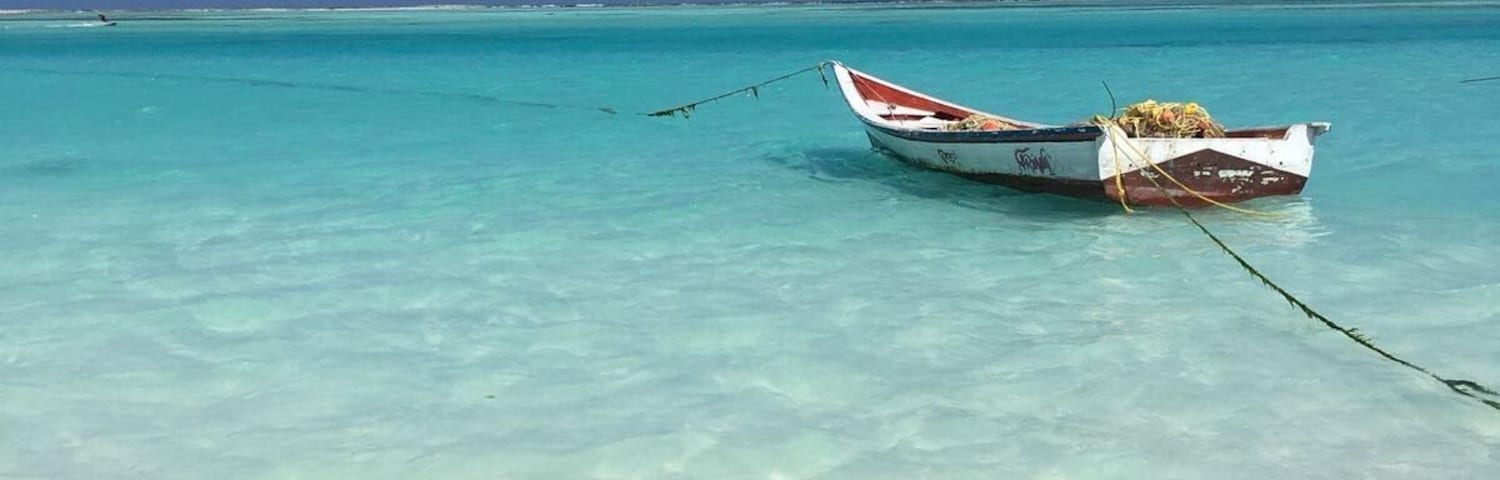 White sands. Turquoise water. I’ve never felt so close to paradise. This is 30 minutes away from my hometown, Caracas, and it wasn’t until recently that I visited this gorgeous place for the first time. Tip: talk to the locals and become friends with a fisherman. They have the best insights and you might get free fresh fish! #lifeatexpedia #bvsblue #beaches