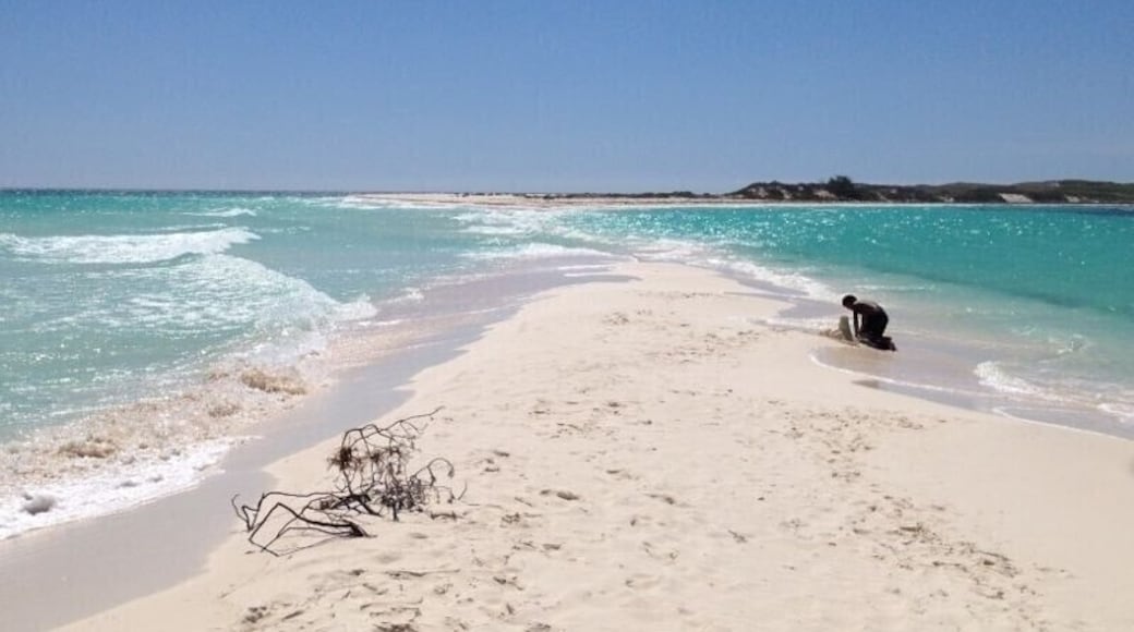 Cayo de Agua, Los Roques