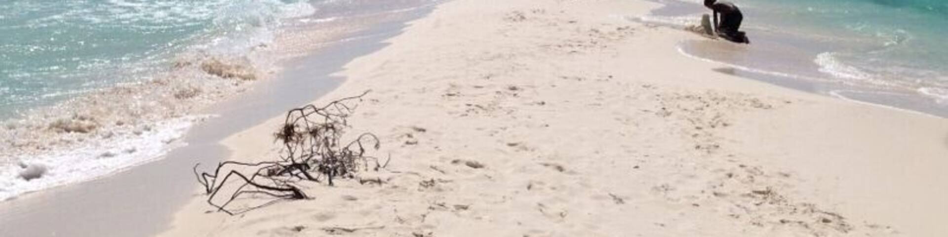 Cayo de Agua, Los Roques