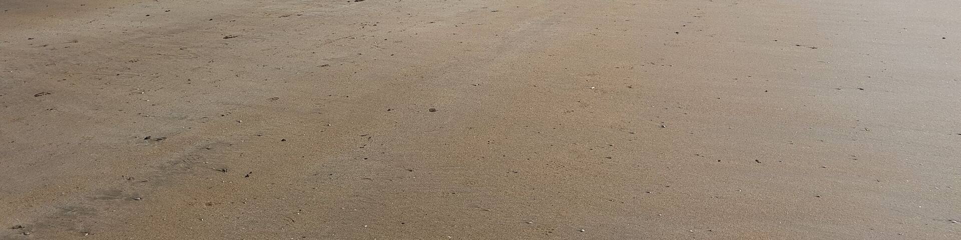 Beautiful beach
#Green