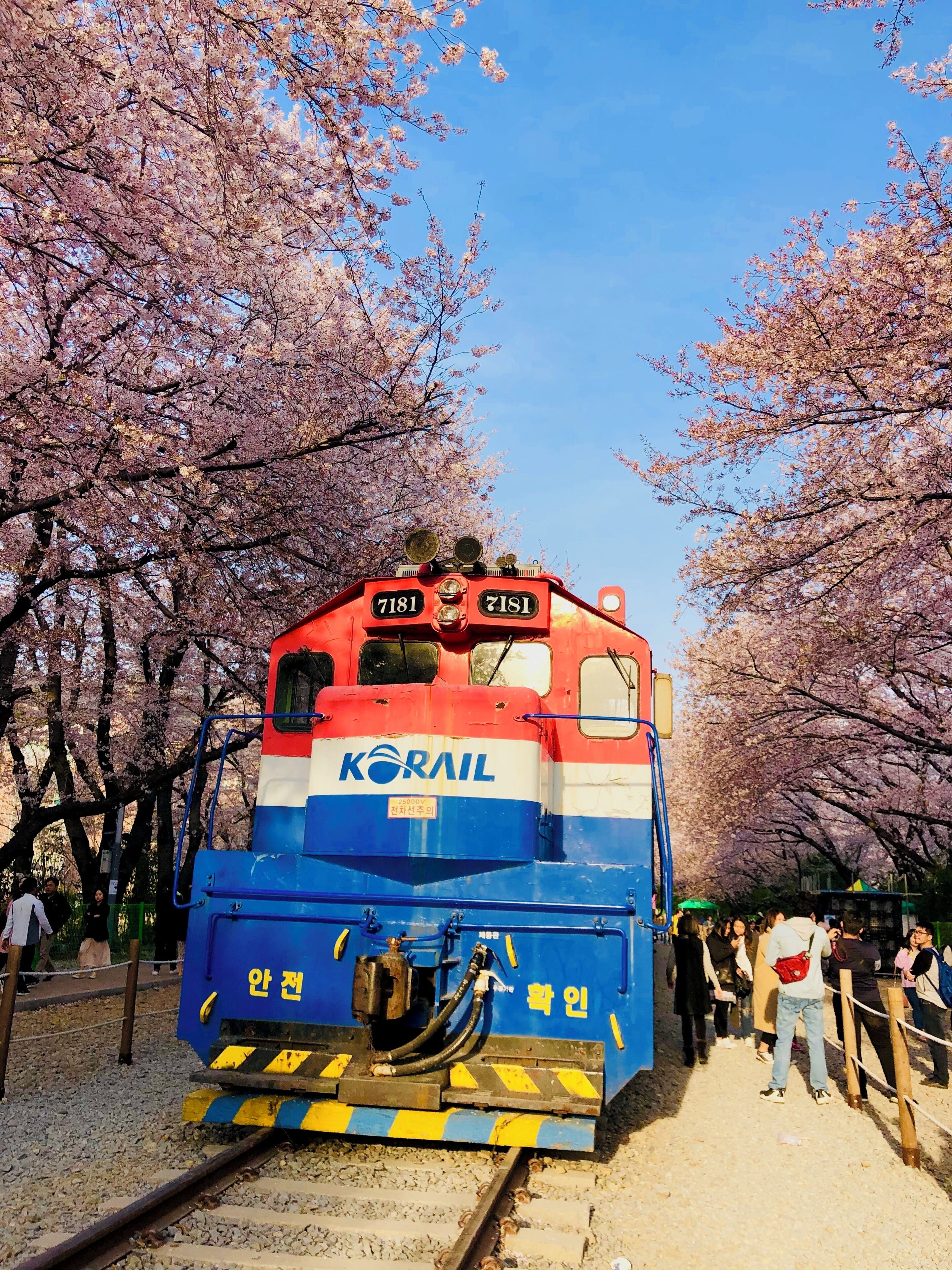 The famous train for photos at Jinhae 