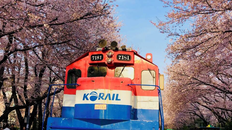The famous train for photos at Jinhae