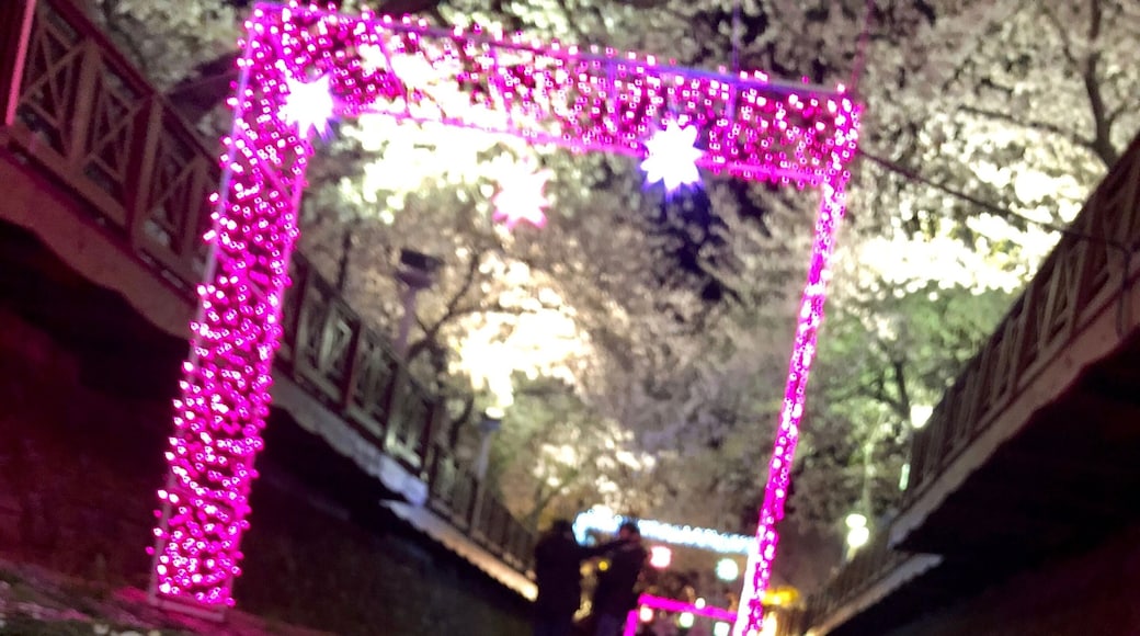 Not too crowded when you come around 10pm