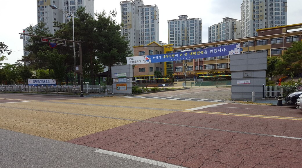 전주시 완산구 소태정로 21 (효자동2가)에 위치한 효자4동제5투표소가 있는 전주우림초등학교 정문