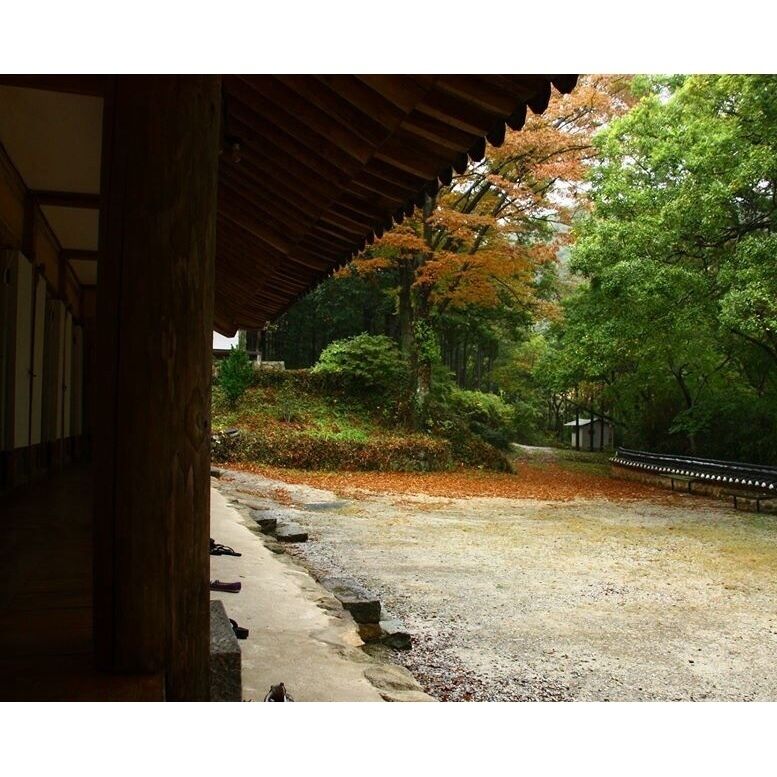 Um jardim japonês tradicional com um caminho de madeira, lanternas de pedra e folhagem outonal.