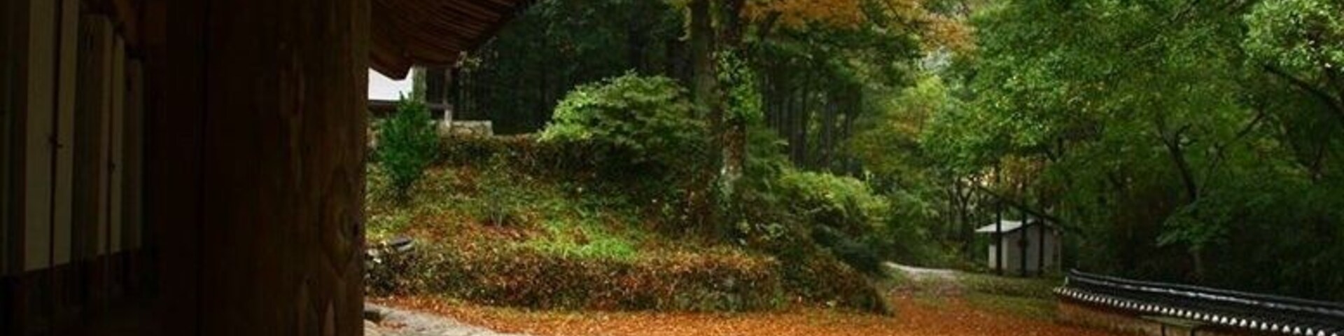 Um jardim japonês tradicional com um caminho de madeira, lanternas de pedra e folhagem outonal.