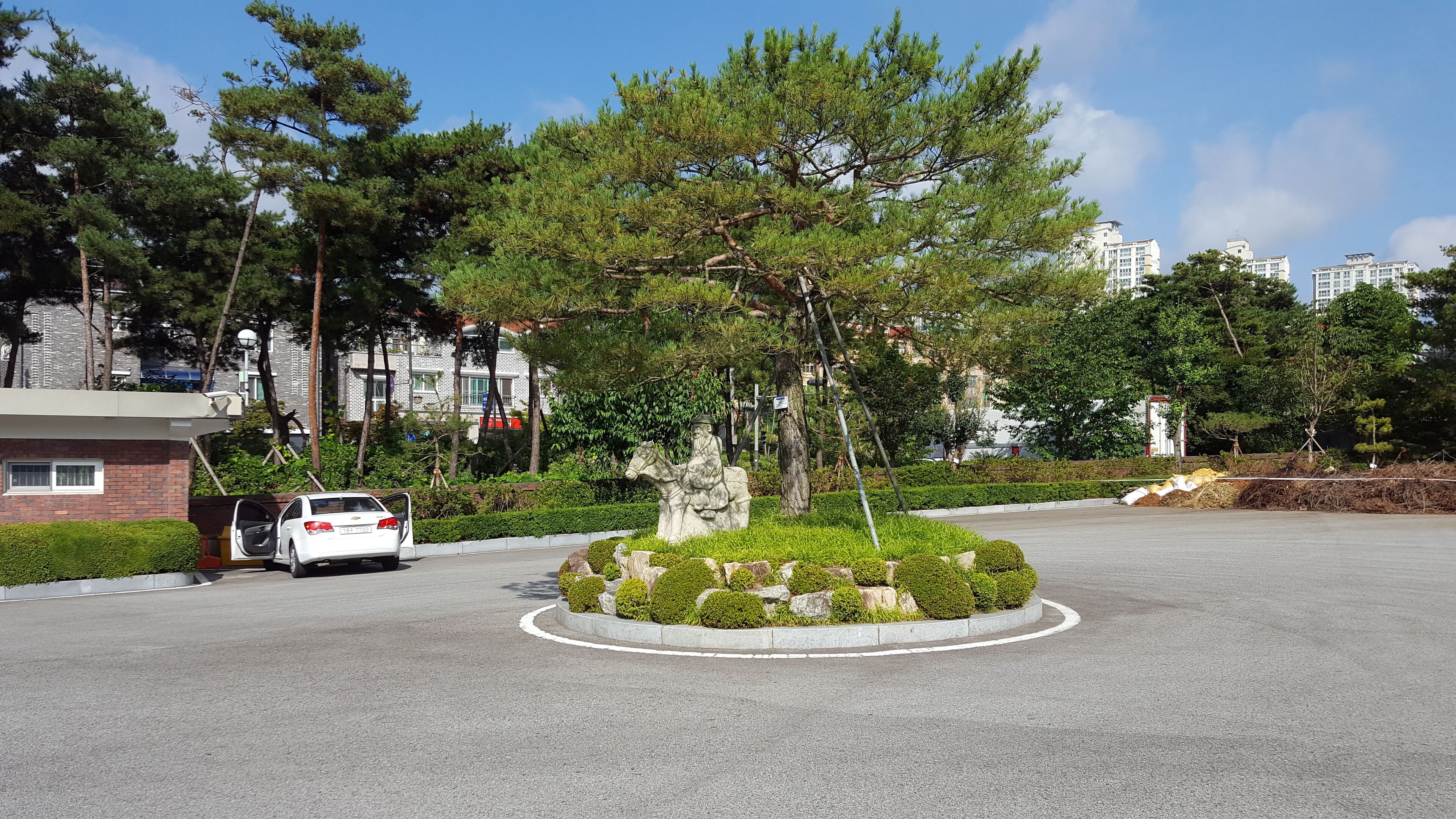 동암고등학교 기마상과 소나무