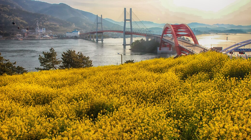Aerial View of Sacheon Cable Car at Sunrise, Sacheon, Gyeongnam, South Korea.