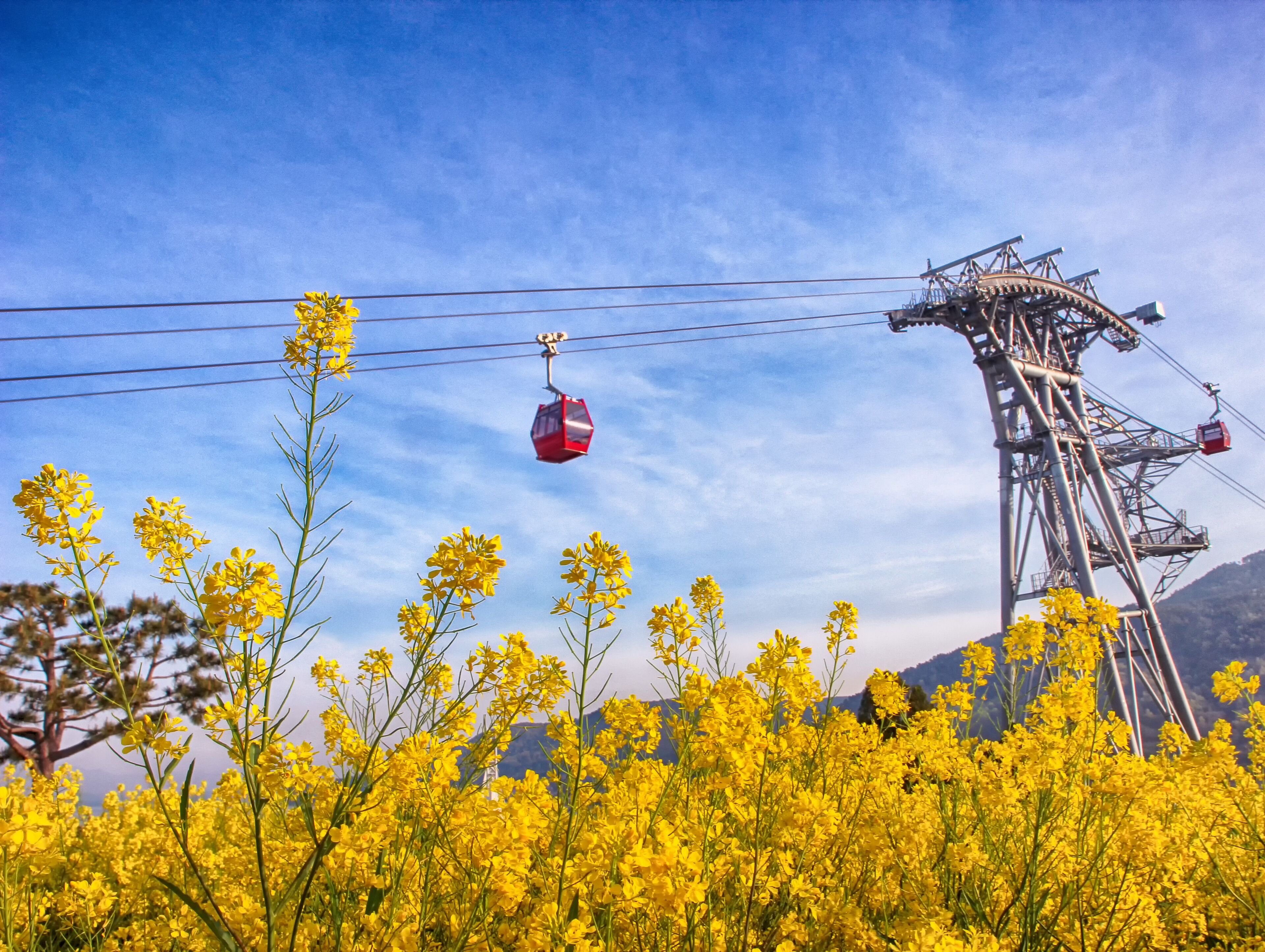 Aerial View of Sacheon Cable Car at Sunrise, Sacheon, Gyeongnam, South Korea.