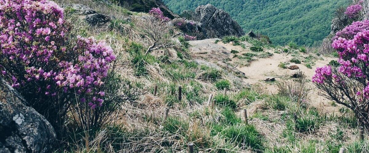 #takeahike An eleven hour hike but totally worth it. The view was stunning and the ahjummas and ahjushis also doing the hike along the way were full of kindness while giving me snacks and support. This beautiful mountain is the second tallest in South Korea and definitely a must go to place.
