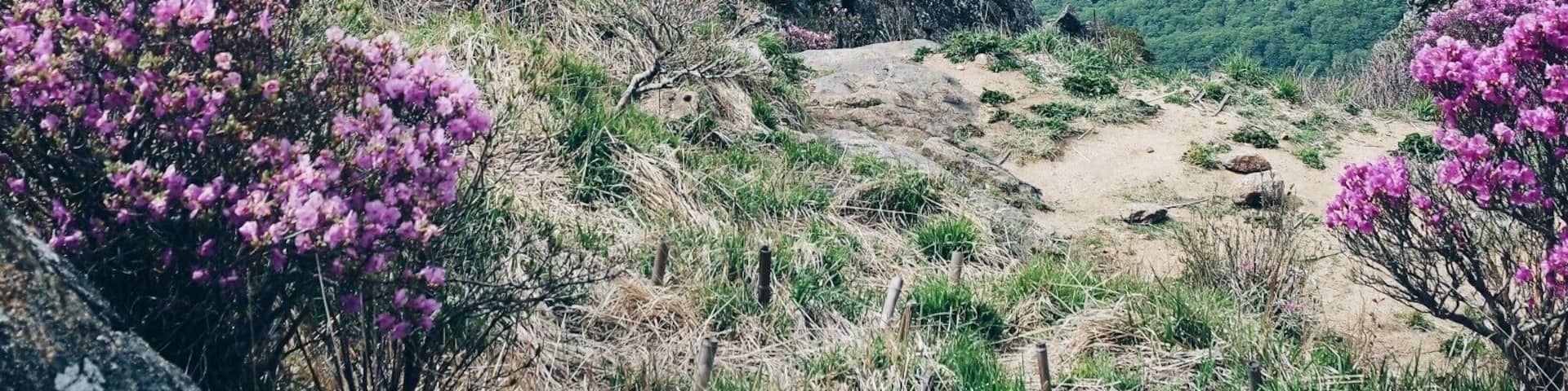 #takeahike An eleven hour hike but totally worth it. The view was stunning and the ahjummas and ahjushis also doing the hike along the way were full of kindness while giving me snacks and support. This beautiful mountain is the second tallest in South Korea and definitely a must go to place.