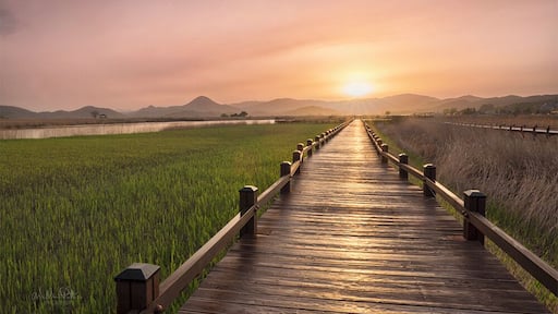 This was captured a few afternoons back at Suncheon Bay here in South Korea. Upon arrival it was raining and didn't look like holding up. I was rather disappointed as there was a hike to a lookout that I was keen to shoot with the setting sun. In need of coffee, we headed to a nearby cafe instead. Not long after placing our order I noticed nice light hitting the interior of the cafe. I looked out to see the sun fighting its way through the grey. With only 20 minutes before sunset I was torn between chasing the light or enjoying a warm cup. Like always, the light of course won me over and I found myself charging up the hill like a mad tourist. I stopped to capture this on the way. Somehow I managed to make it to the top of the 2km hike, much to the disgust of my calves, and I managed to witness a site I really thought I wouldn't see. I've lost count of the times the sun has broken through the darkest of skies. You can't ever doubt. #goldenhour #sunset #suncheon #korea #travel