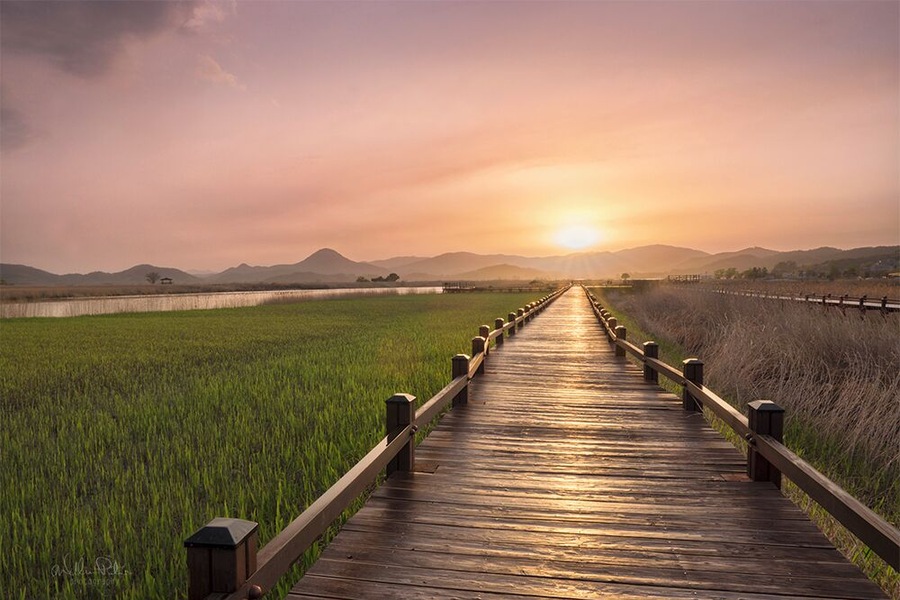 This was captured a few afternoons back at Suncheon Bay here in South Korea. Upon arrival it was raining and didn't look like holding up. I was rather disappointed as there was a hike to a lookout that I was keen to shoot with the setting sun. In need of coffee, we headed to a nearby cafe instead. Not long after placing our order I noticed nice light hitting the interior of the cafe. I looked out to see the sun fighting its way through the grey. With only 20 minutes before sunset I was torn between chasing the light or enjoying a warm cup. Like always, the light of course won me over and I found myself charging up the hill like a mad tourist. I stopped to capture this on the way. Somehow I managed to make it to the top of the 2km hike, much to the disgust of my calves, and I managed to witness a site I really thought I wouldn't see. I've lost count of the times the sun has broken through the darkest of skies. You can't ever doubt. #goldenhour #sunset #suncheon #korea #travel