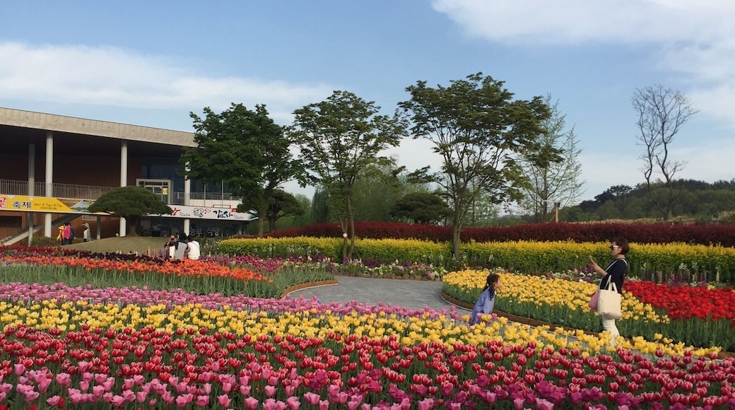 good place for sightseeing