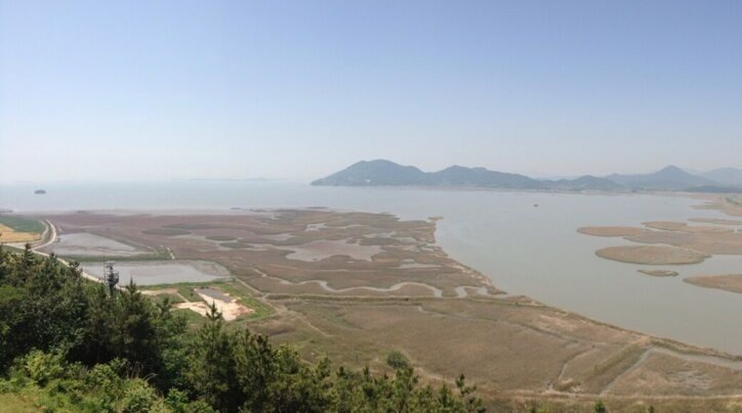 Beautiful view over Suncheon Bay, South Korea.