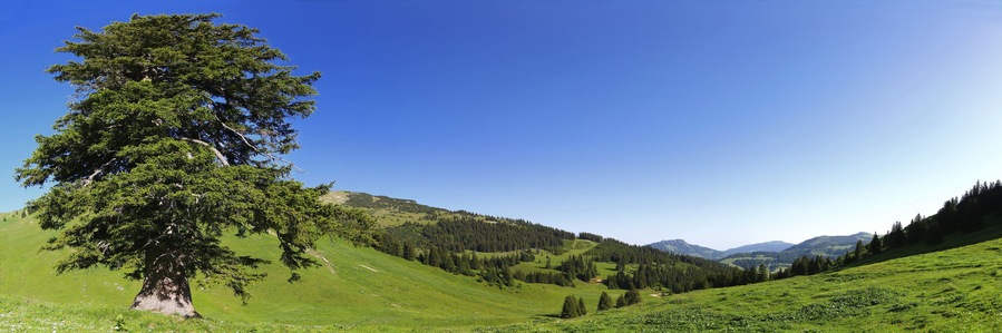 Tannheimer Tal