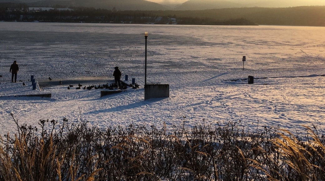 A nice spot in a nice and small City in Germany. The Lake is amazing and the view is in every time of the your pretty beautiful.
