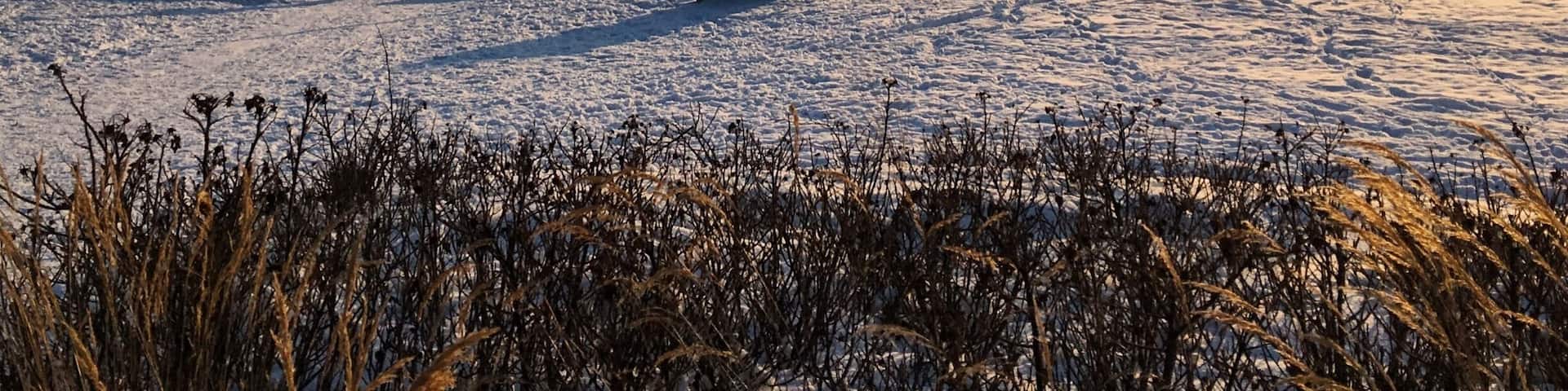 A nice spot in a nice and small City in Germany. The Lake is amazing and the view is in every time of the your pretty beautiful.