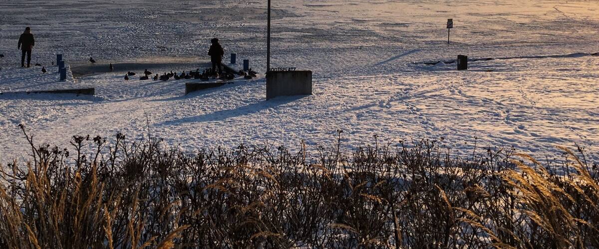 A frozen lake with people walking and standing, a lamppost, and distant mountains.