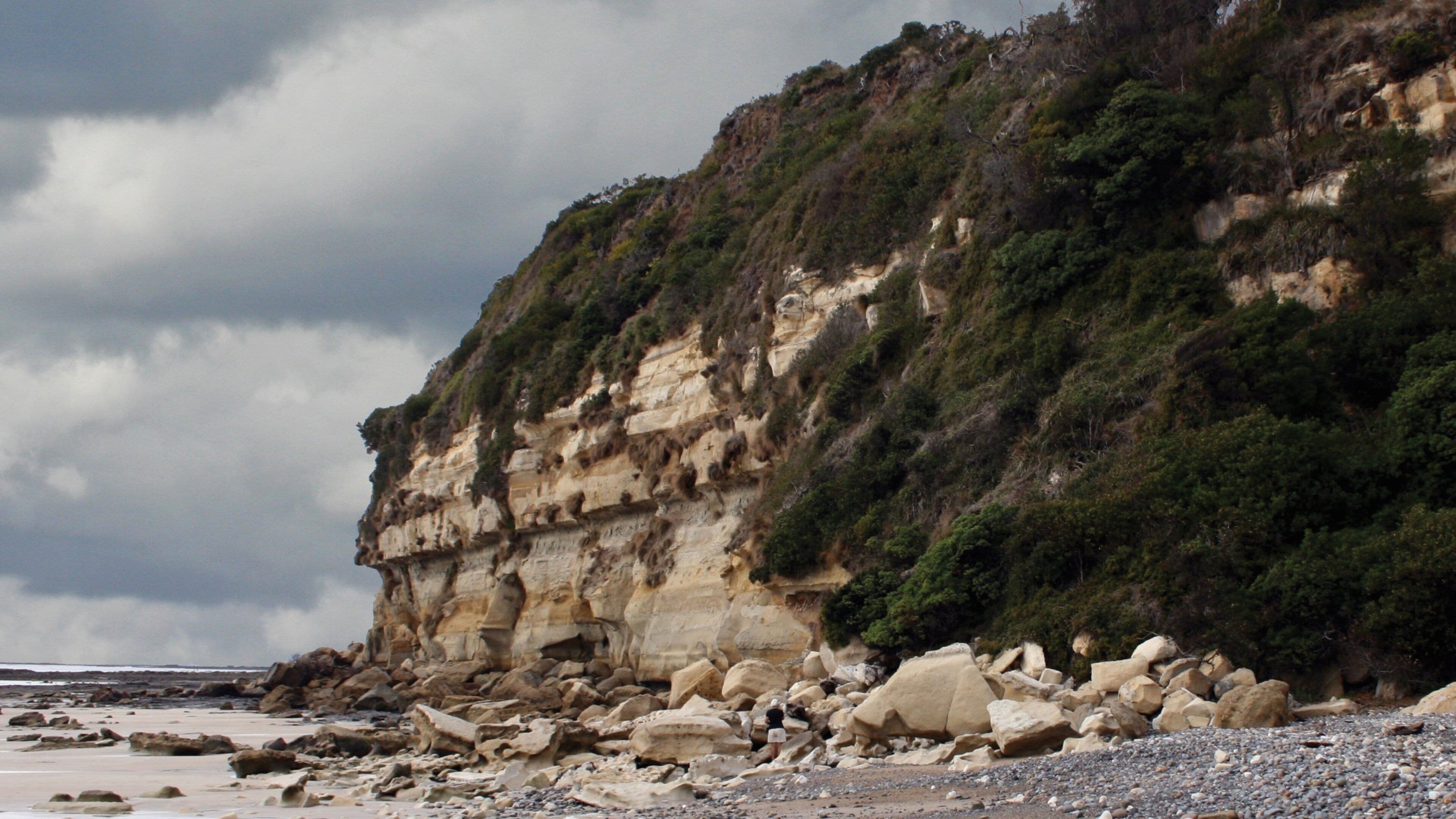 Wynyard ofreciendo litoral rocoso