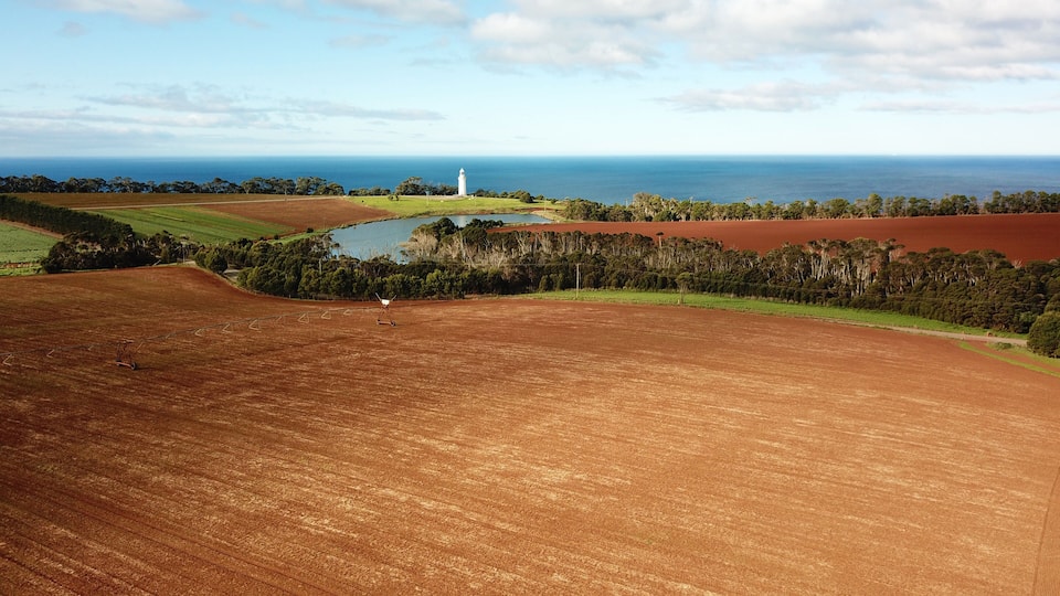 Aerial view of landscape in Table Cape Farm, Tasmania Australia