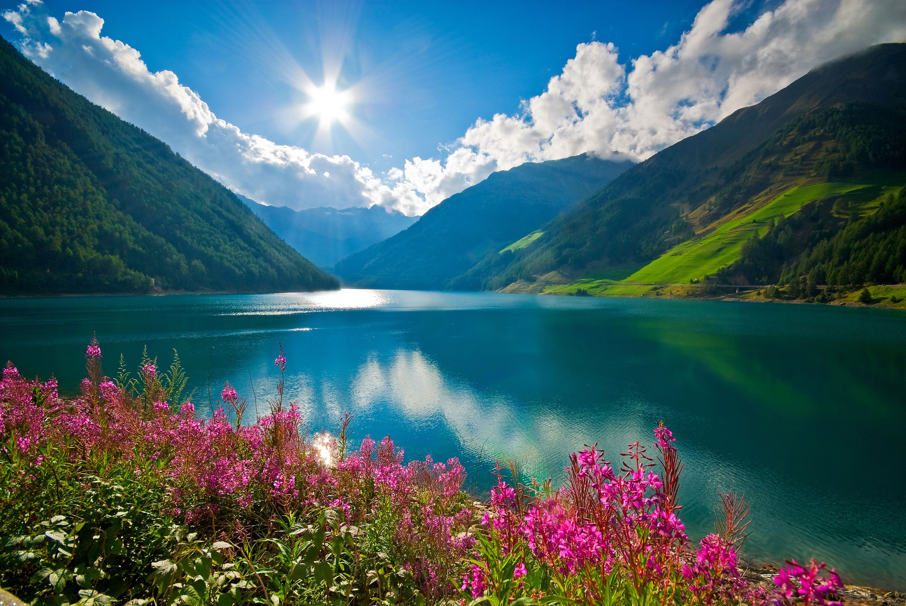 A lake surrounded by mountains with a clear sky and pink flowers in the foreground.