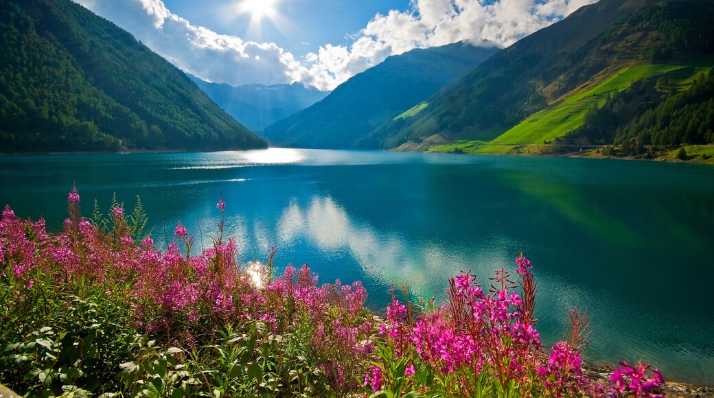 A lake surrounded by mountains with a clear sky and pink flowers in the foreground.