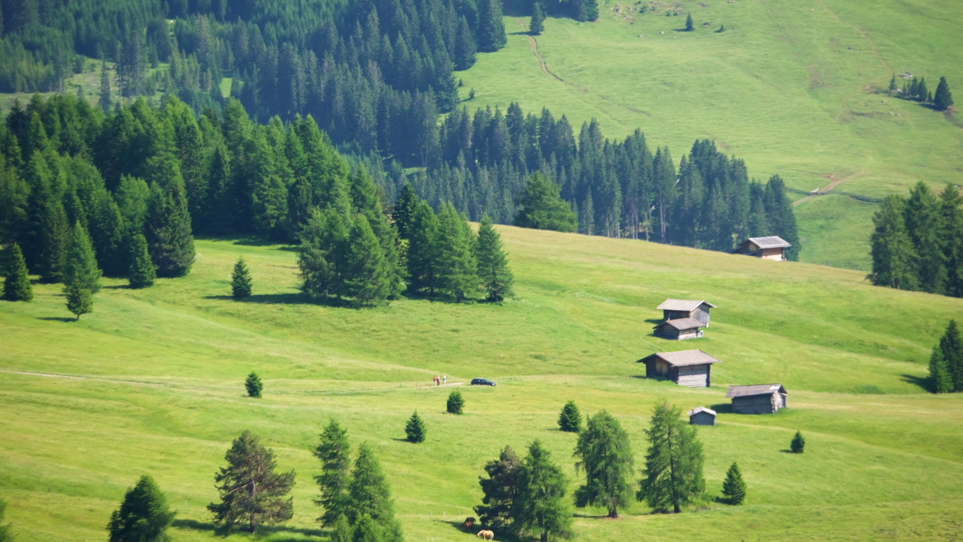 Alpe di Siusi featuring landscape views and tranquil scenes