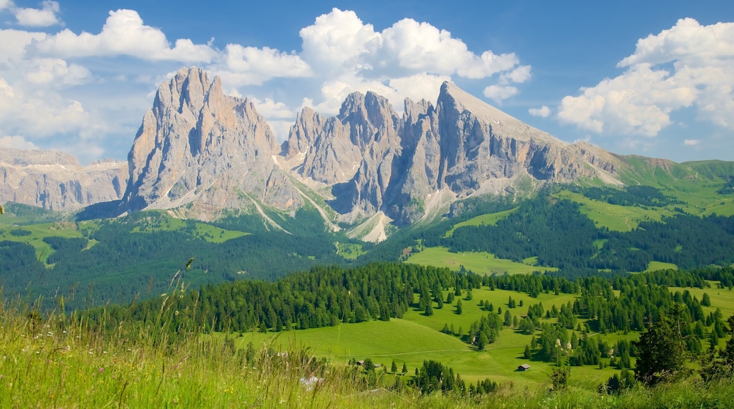 Alpe di Siusi which includes landscape views, tranquil scenes and mountains