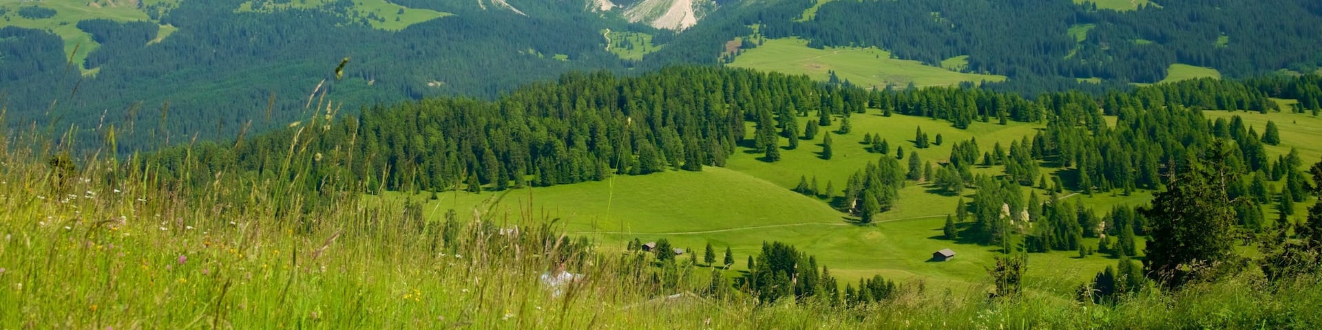 A mountainous landscape with a prominent rocky peak, lush green valleys, and dense forests.