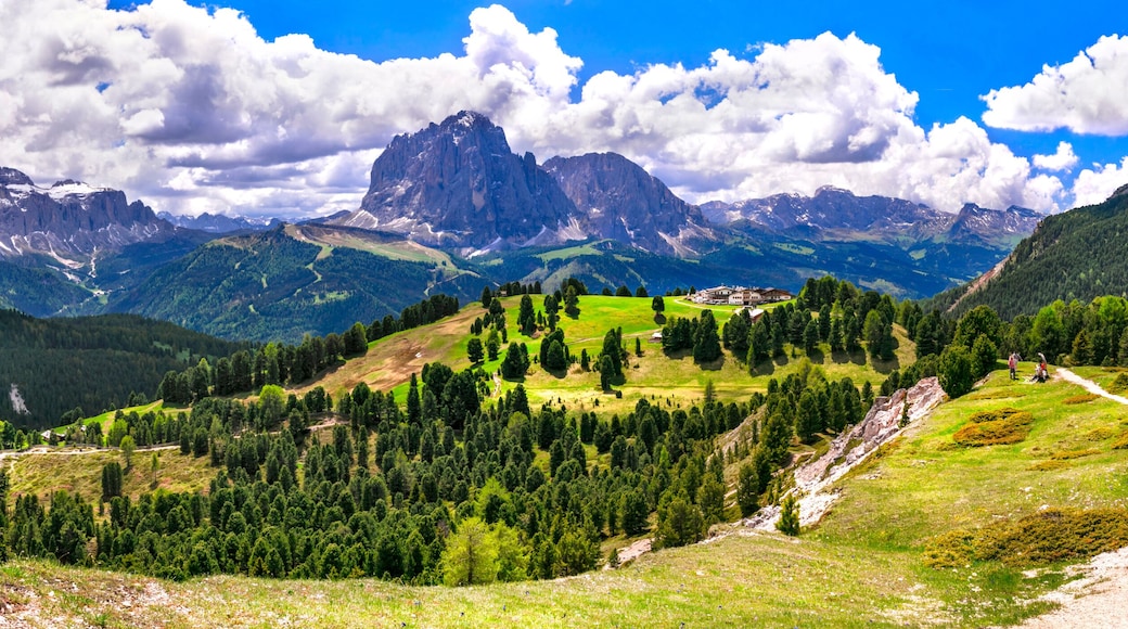 Val Gardena