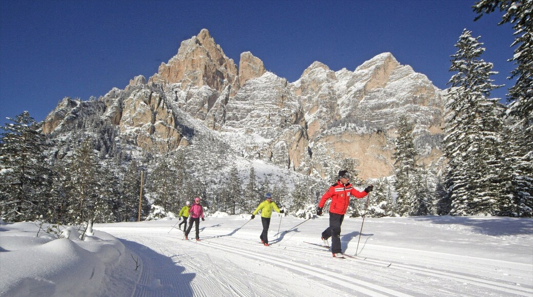 Alta Badia showing snow skiing, snow and mountains