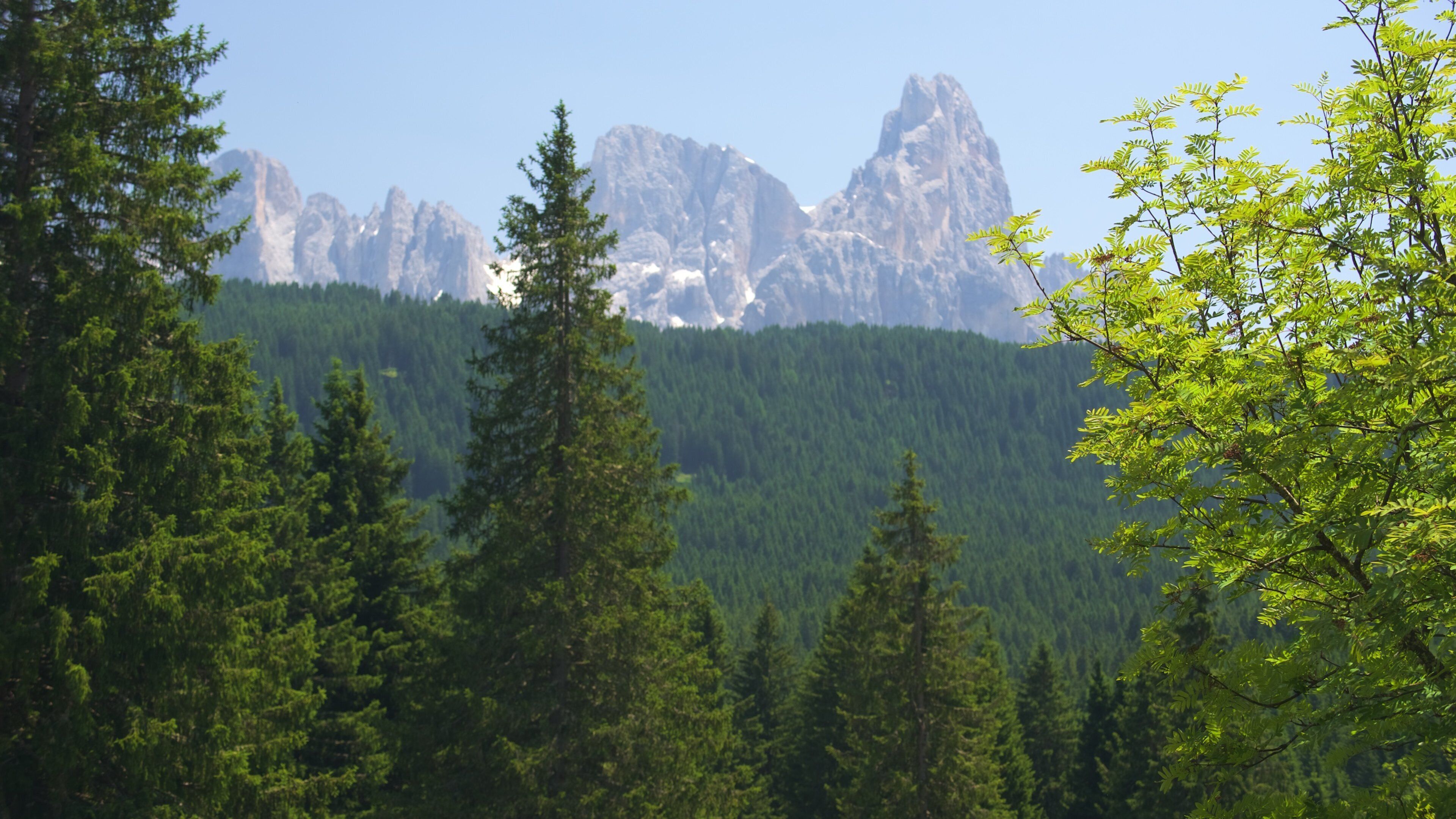 Trentino featuring mountains, landscape views and forests