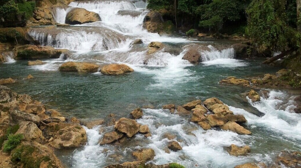 This is amazing!!! My first time adventure #BVStrove