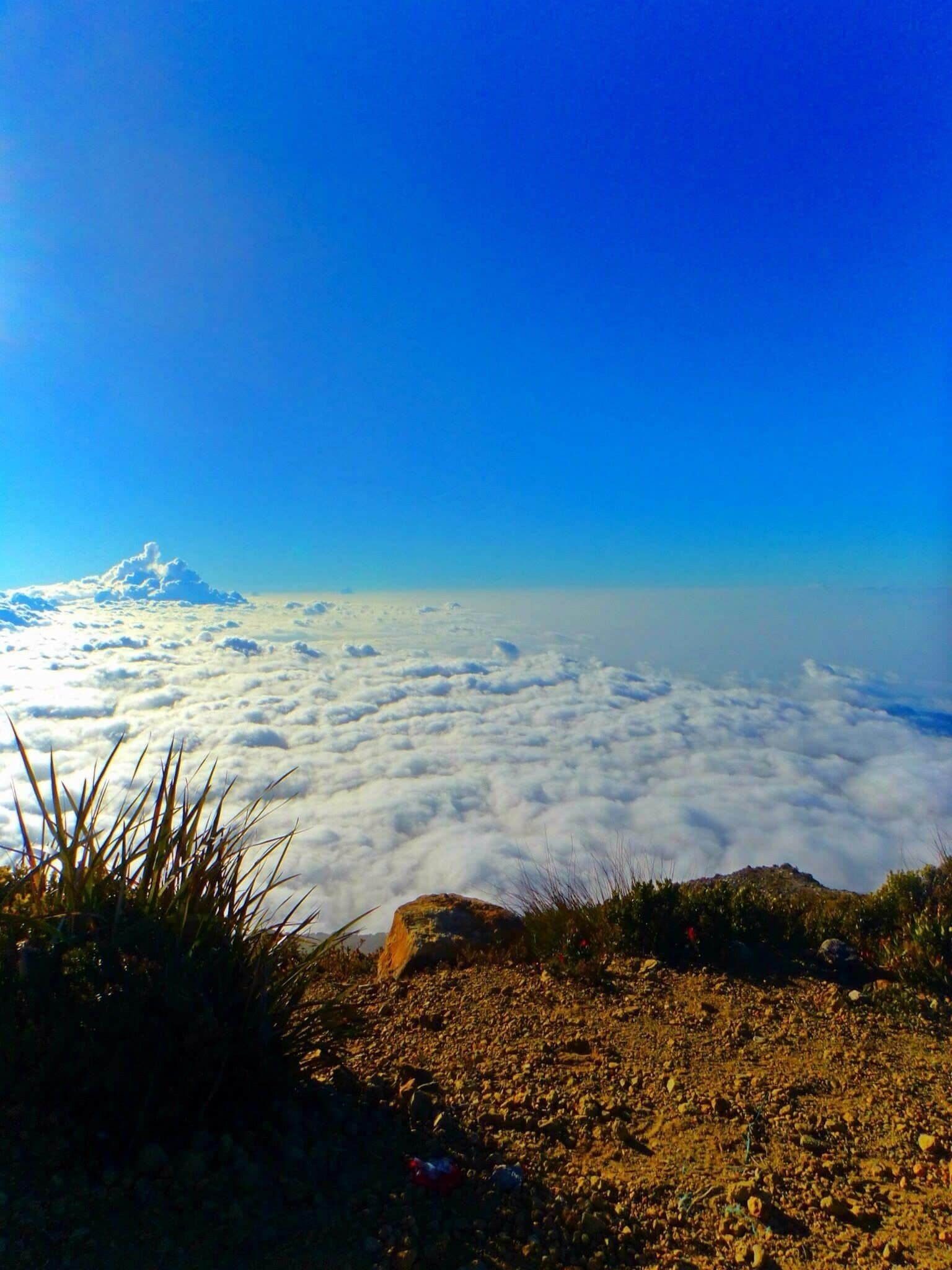 A path of clouds, SURREAL. I swear I was on deep shit jitterbug heaven feels during this moment😁 #nationalpark