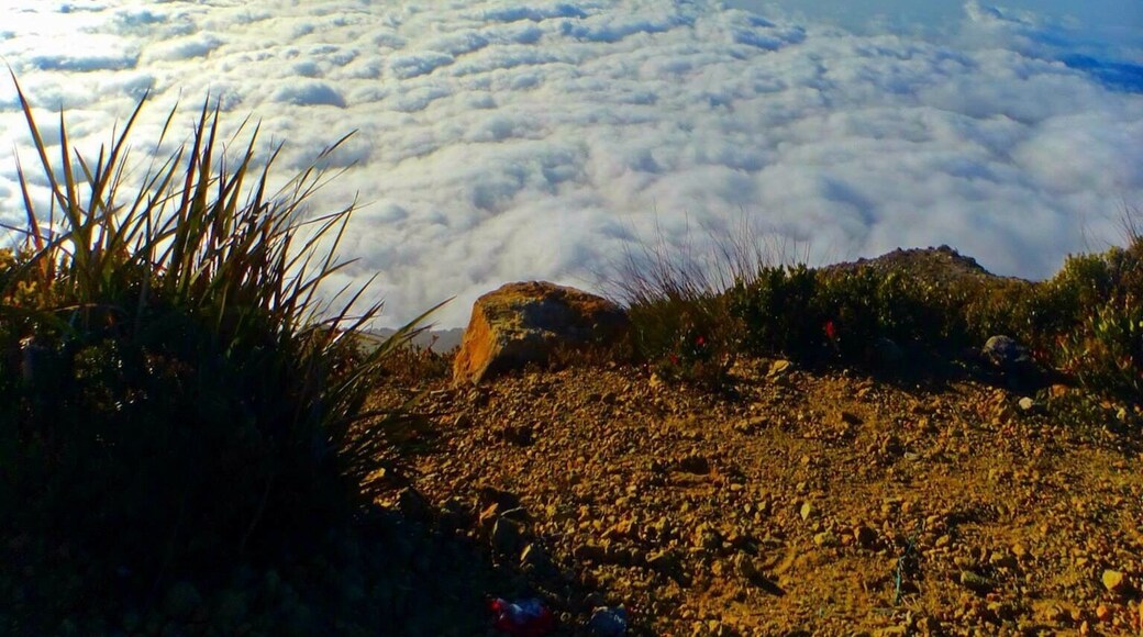 A path of clouds, SURREAL. I swear I was on deep shit jitterbug heaven feels during this moment😁 #nationalpark