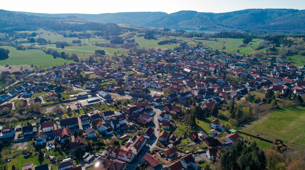 Langelsheim