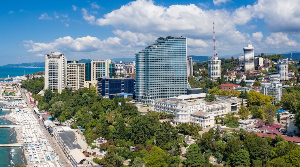 view of the city sochi