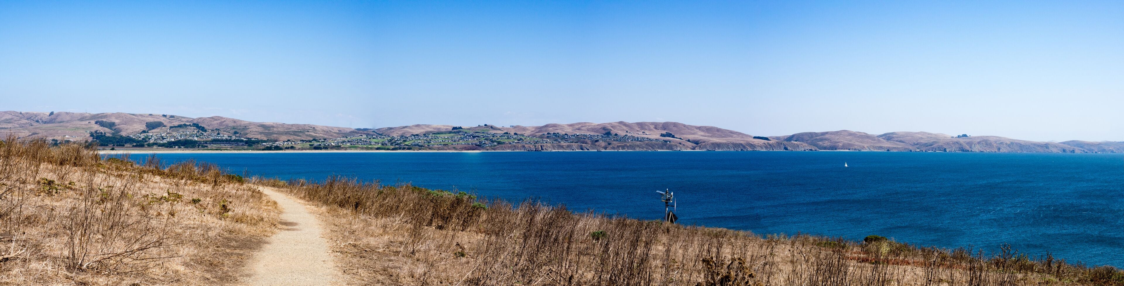 Panorama of trail, ocean and Bodega Bay in the distance from Bodega Head Trail, Bodega Bay, California United States on sunny summer day