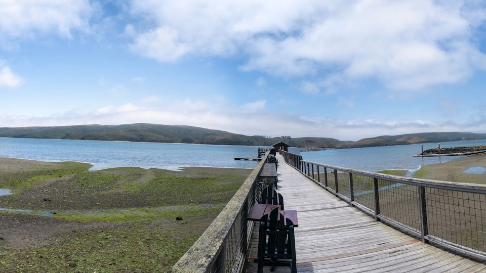 A wooden boardwalk leading to a lake with a clear sky.