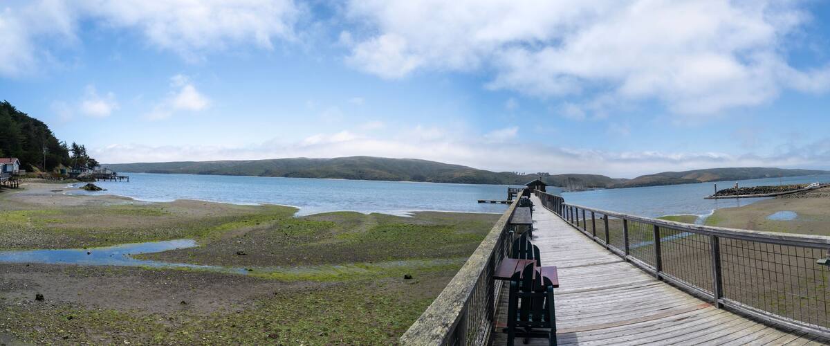 A wooden boardwalk leading to a lake with a clear sky.