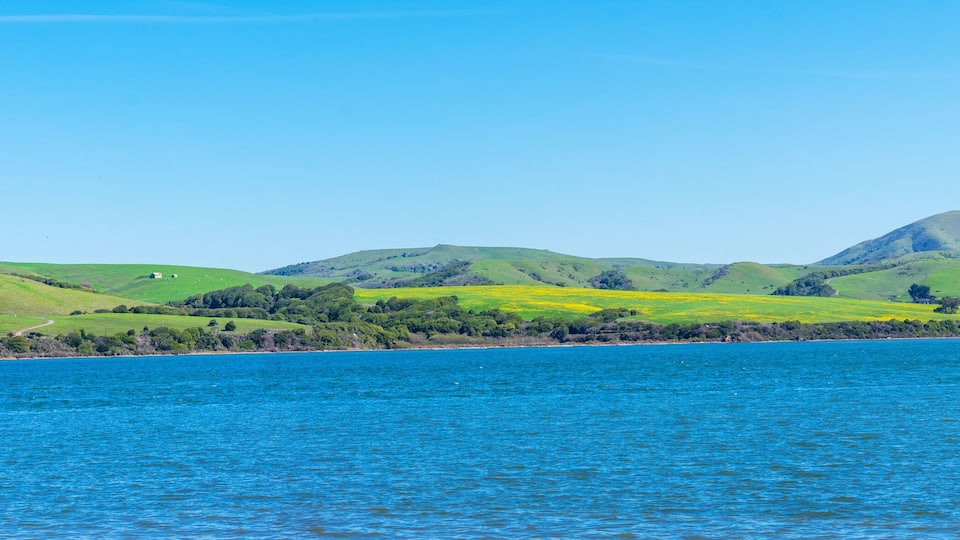 A coastal landscape with green hills and a clear blue sea.