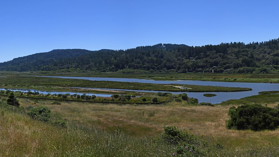 A river winding through a lush valley with hills in the background.