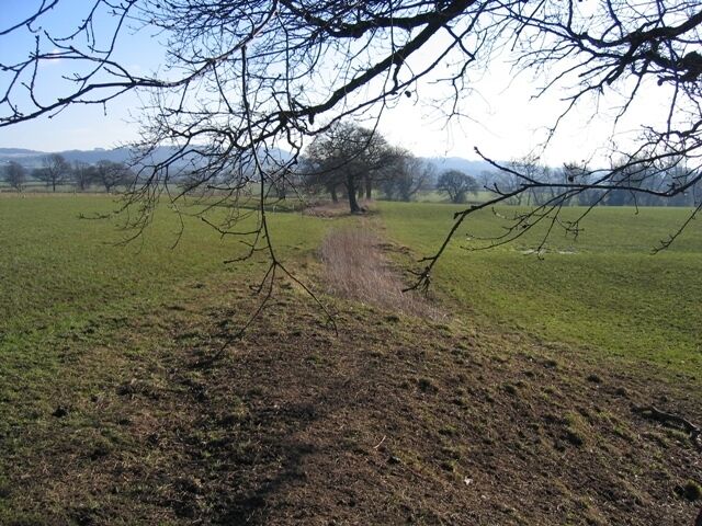 Footpath from Burwardsley Road to Dark Lane #2 This old hedge line indicates the new line of the footpath from Burwardsley Road, as it changes direction on its way towards Dark Lane. Next see 334647