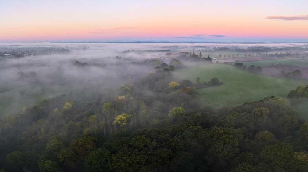 A misty landscape with a bridge, dense forests, and a distant horizon.