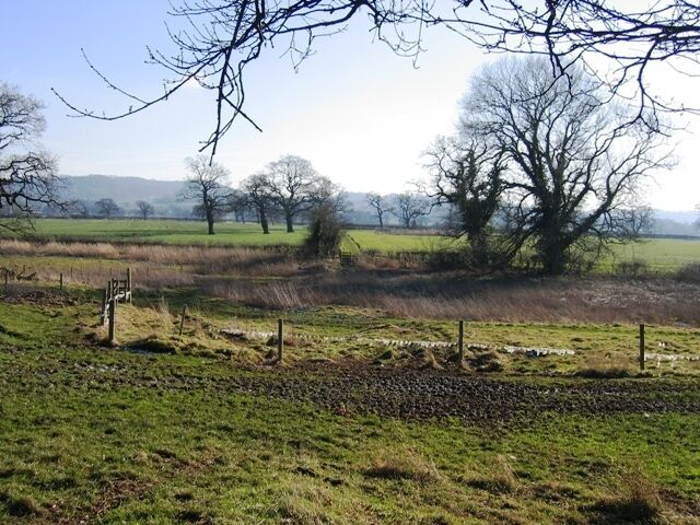 Footpath from Burwardsley Road to Dark Lane #3 The path crosses a low lying area here, and a drainage ditch. The first stile is to the left and the second one straight ahead. Next see 334651